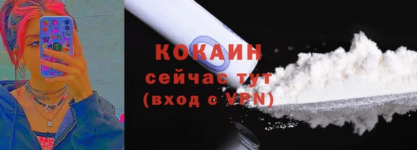 ешки Алзамай