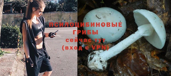 ешки Алзамай