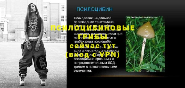 ешки Алзамай