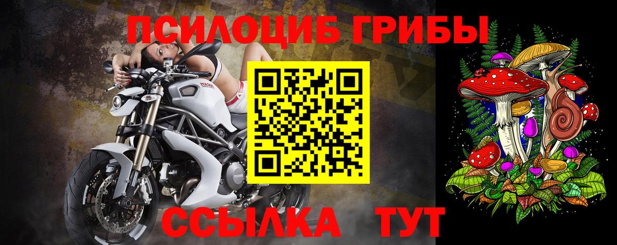 Краснотурьинск  Псилоцибиновые грибы ЛСД  Псилоцибиновые грибы MAGIC MUSHROOMS  Вход с VPN 