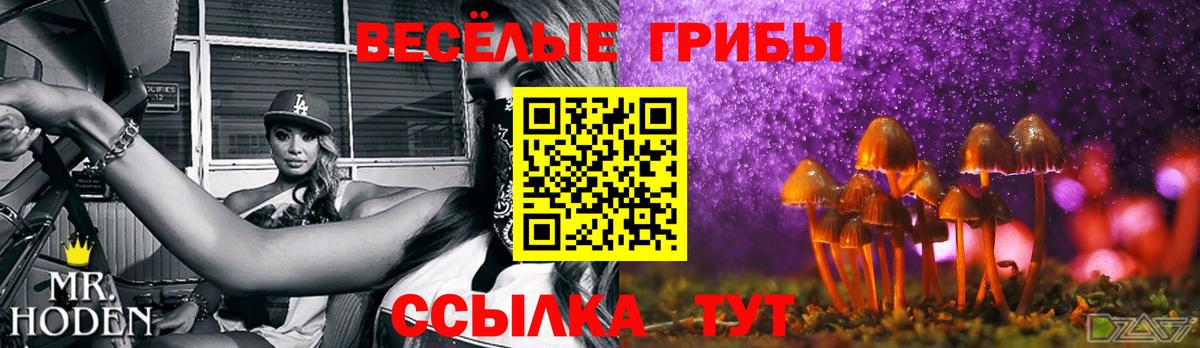 Псилоцибиновые грибы Magic Shrooms Краснотурьинск